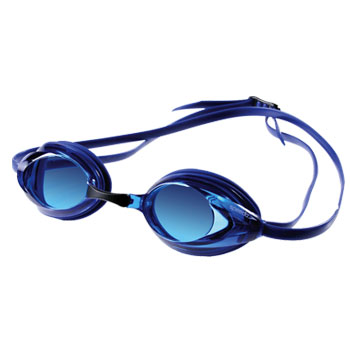 Speedo Vanquisher Goggles